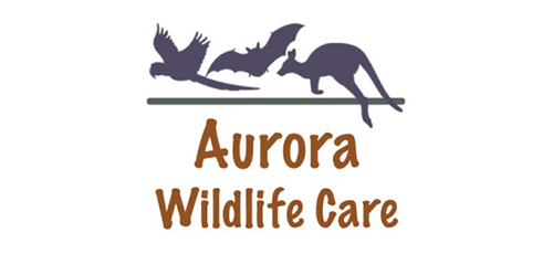 Find out more about Aurora Wildlife Care Inc. - Wildlife Care Group in Tenterfield.