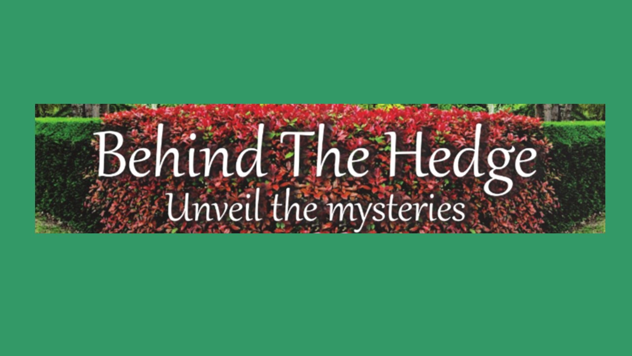 Behind The Hedge Logo - The Federation Informer