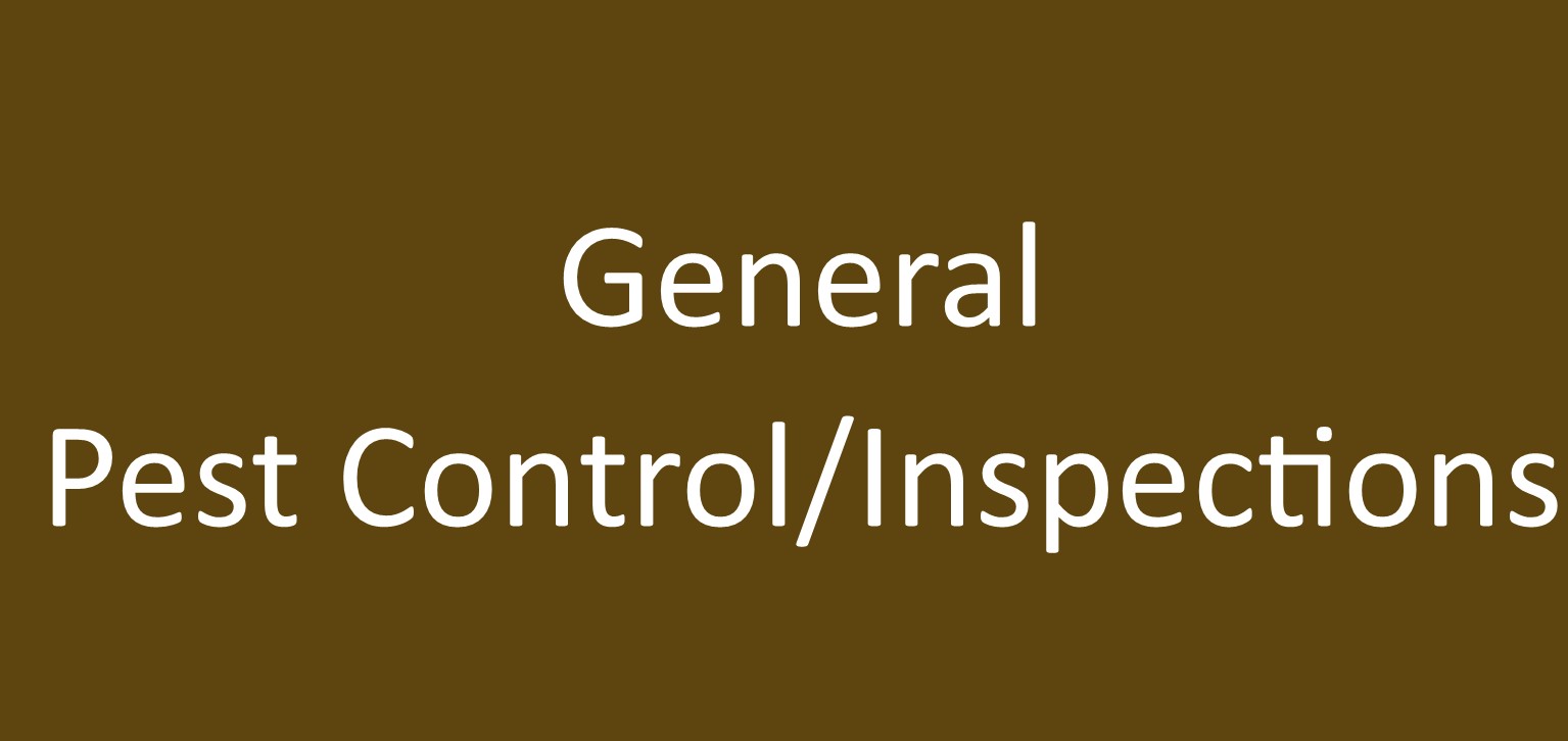 Find out more about x General Pest Control/Inspections x - Pest Control/Inspections in .