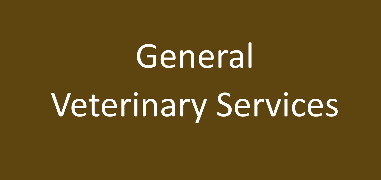 Find out more about x General Veterinary Services x - Veterinary Services in .